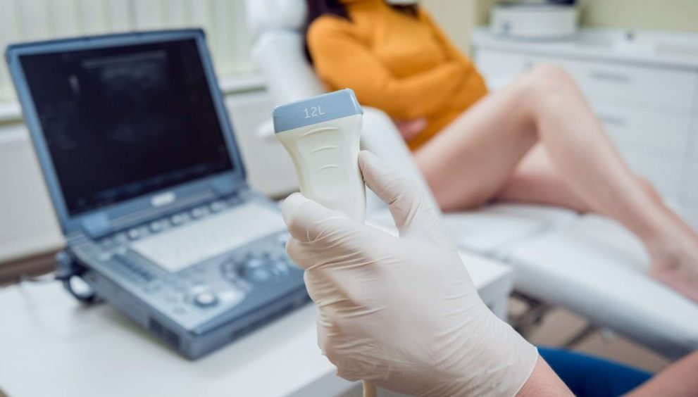 ultrasonografy przenośne